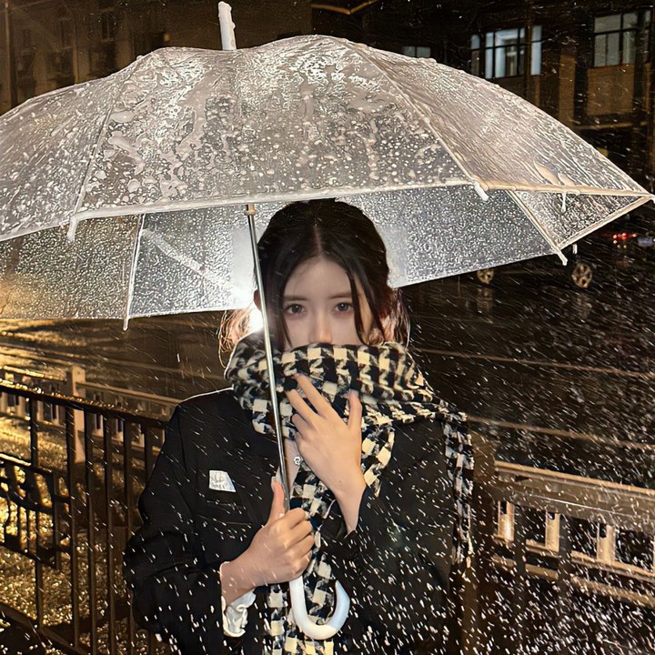 哈里斯夫人闯巴黎